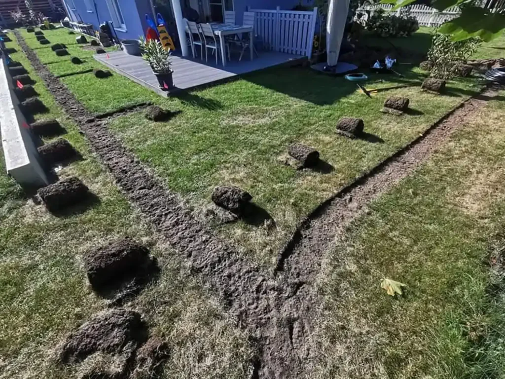 Einrichtung des Gartens 1