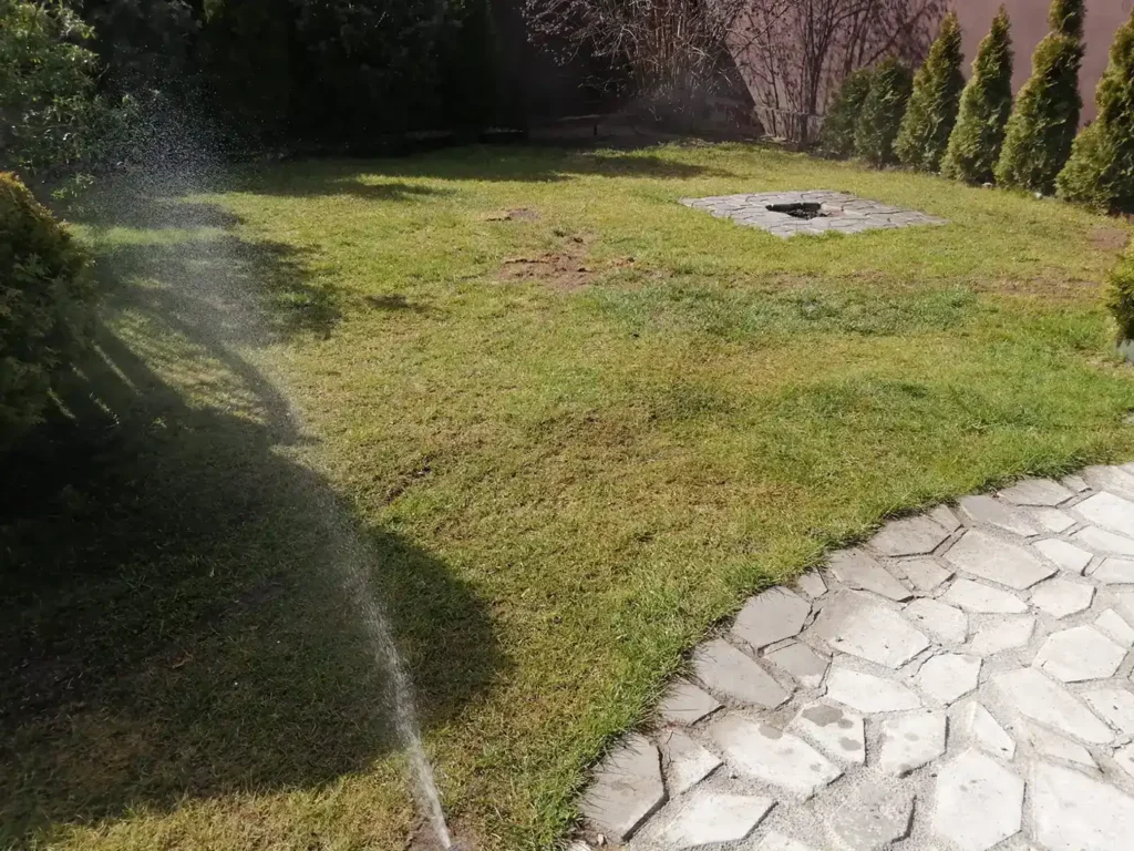 Einrichtung des Gartens 2