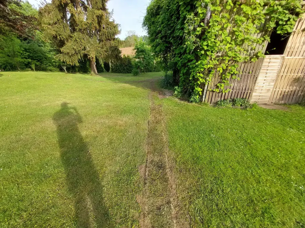 Einrichtung des Gartens 3