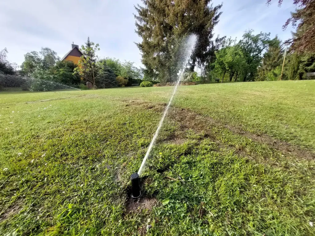 Einrichtung des Gartens 5